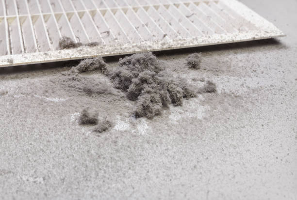 Best HVAC Duct Inspection Services  in Ruskin, FL