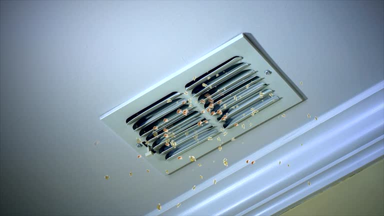 Best Commercial Air Duct Cleaning  in Ruskin, FL