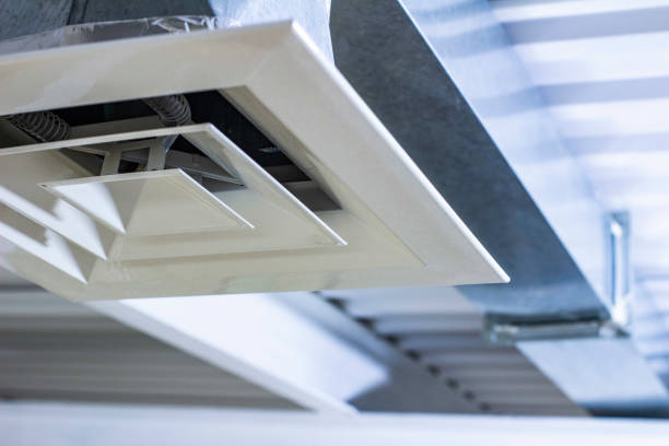 Best Home Air Vent Cleaning  in Ruskin, FL