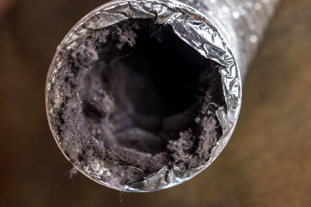 Best Best Air Duct Cleaning Company  in Ruskin, FL